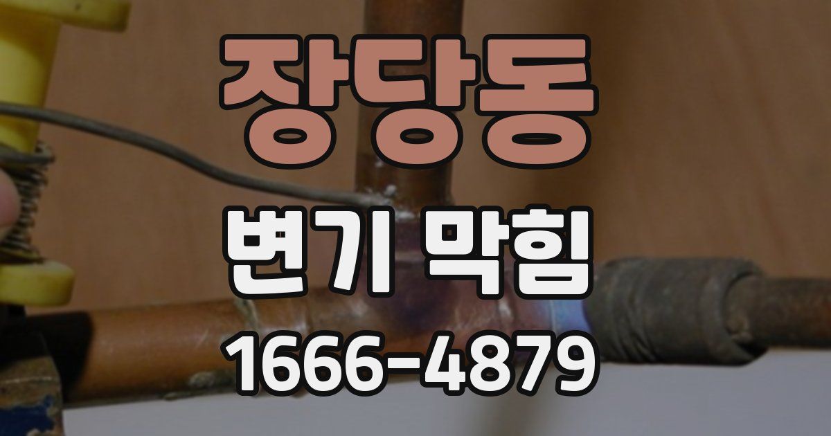 장당동 변기 막힘