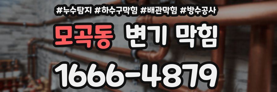 모곡동 변기 막힘