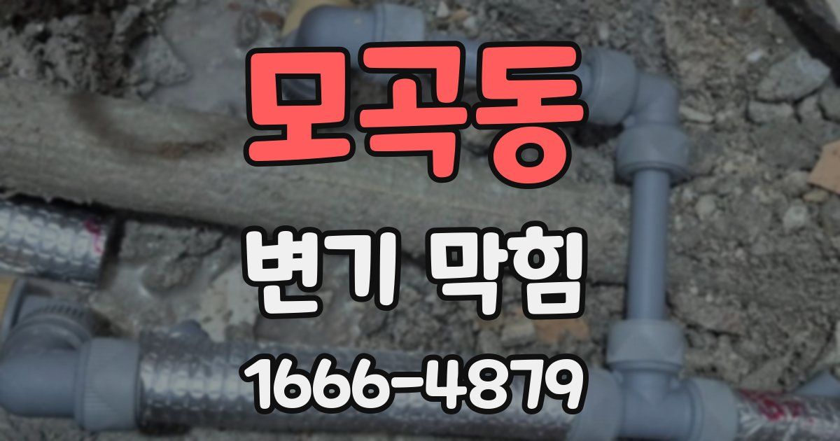 모곡동 변기 막힘