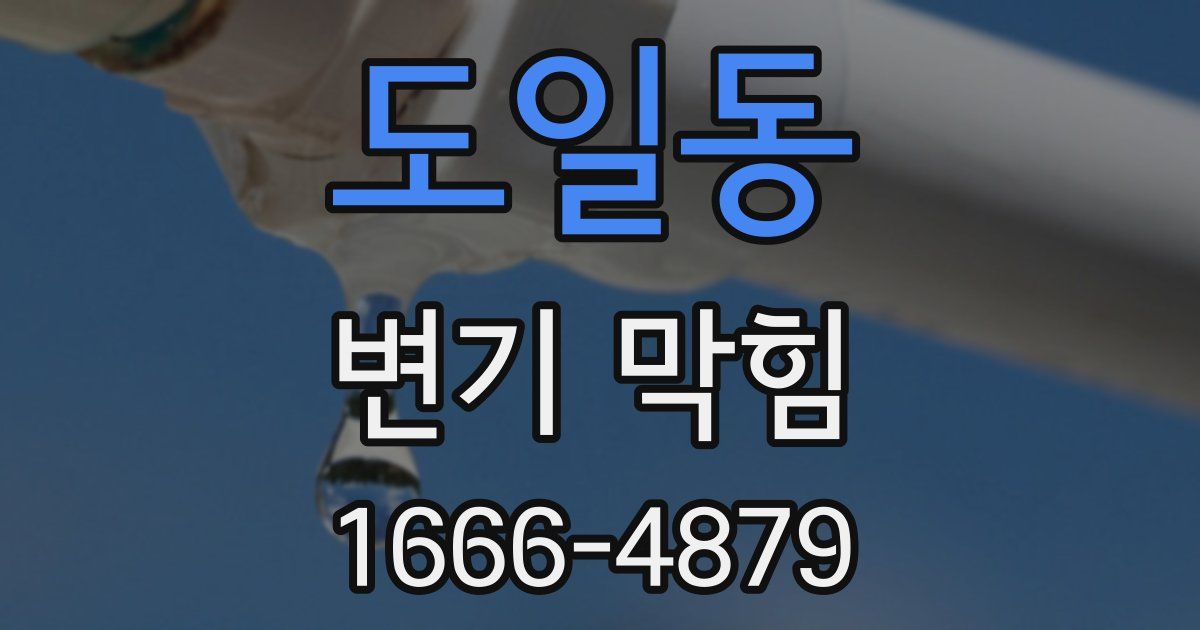 도일동 변기 막힘