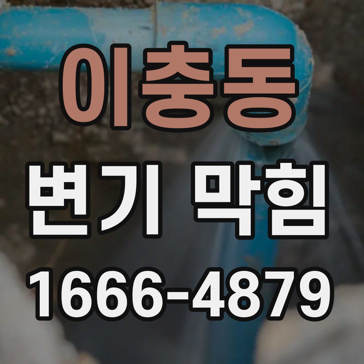 이충동 변기 막힘