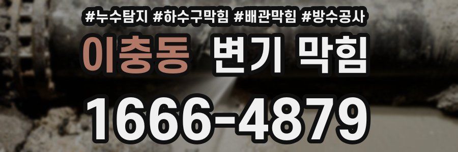 이충동 변기 막힘