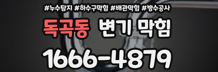 독곡동 변기 막힘