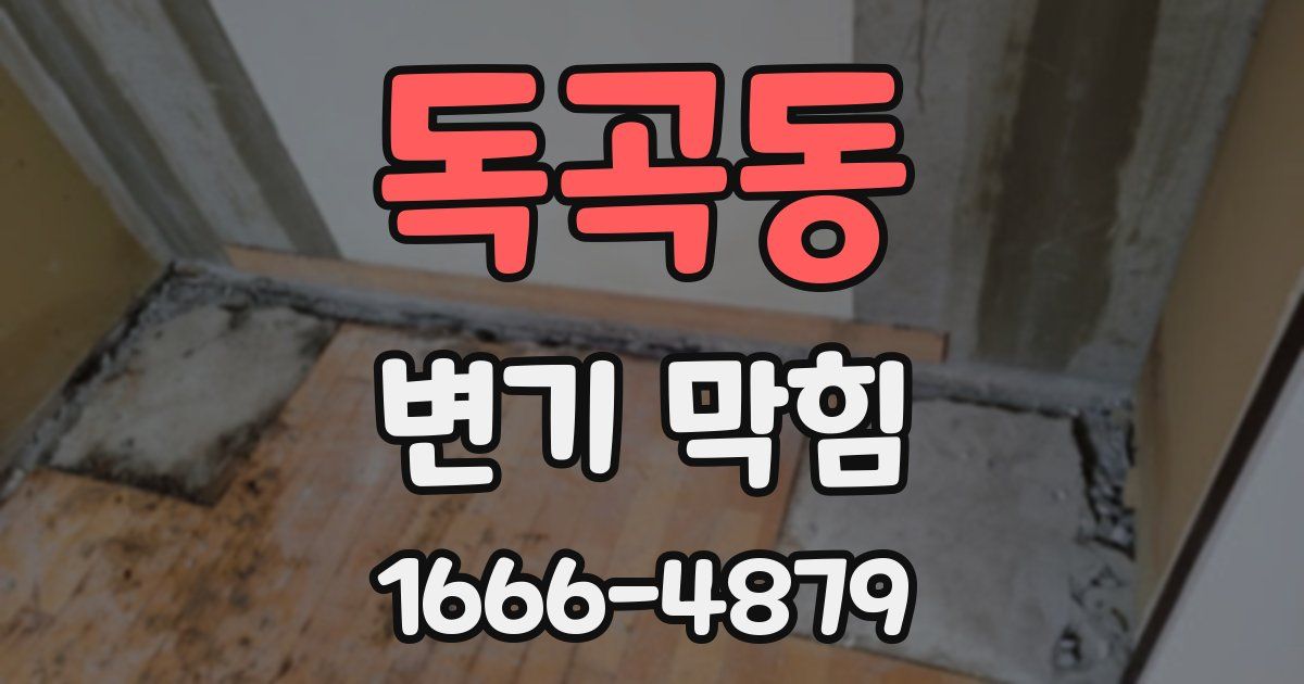독곡동 변기 막힘