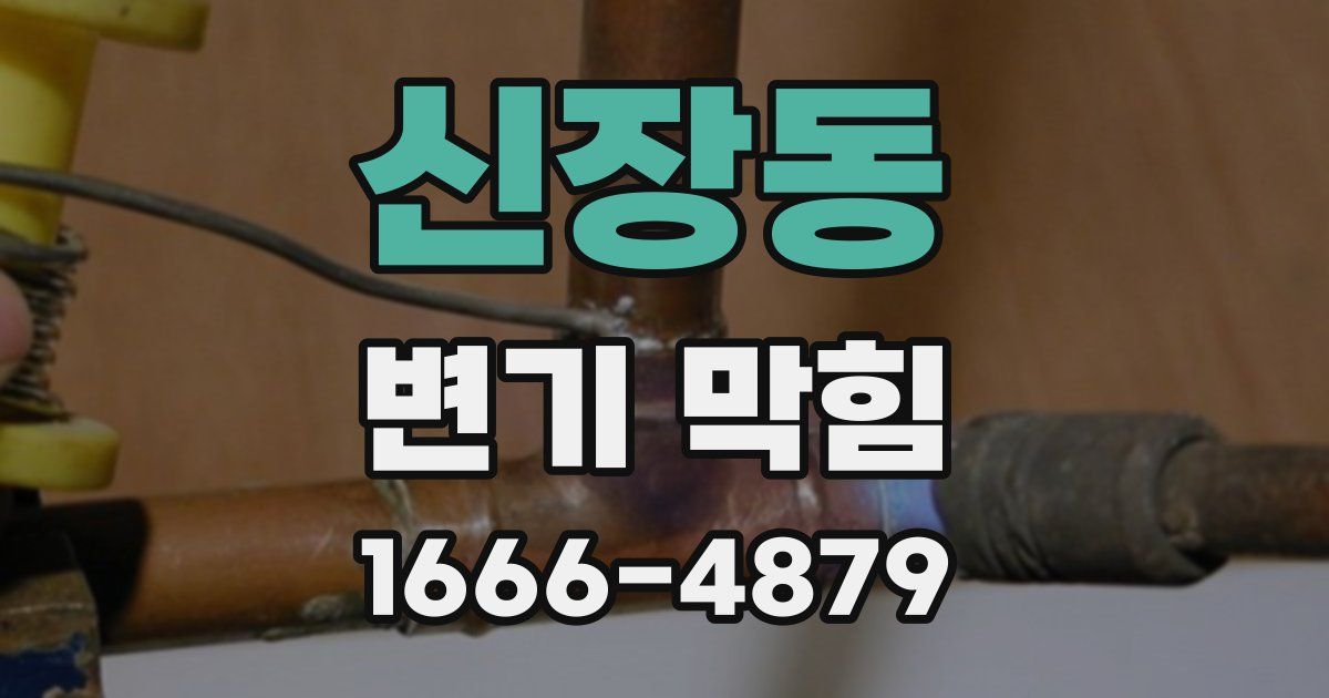 신장동 변기 막힘