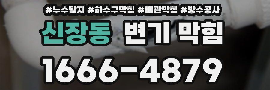 신장동 변기 막힘