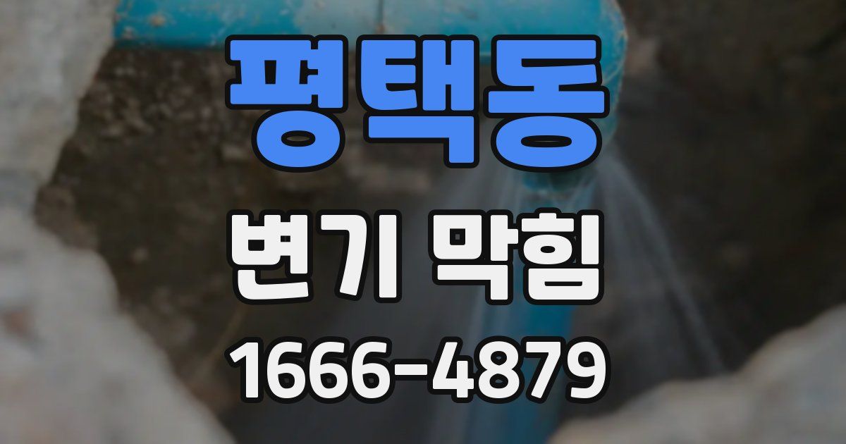 평택동 변기 막힘