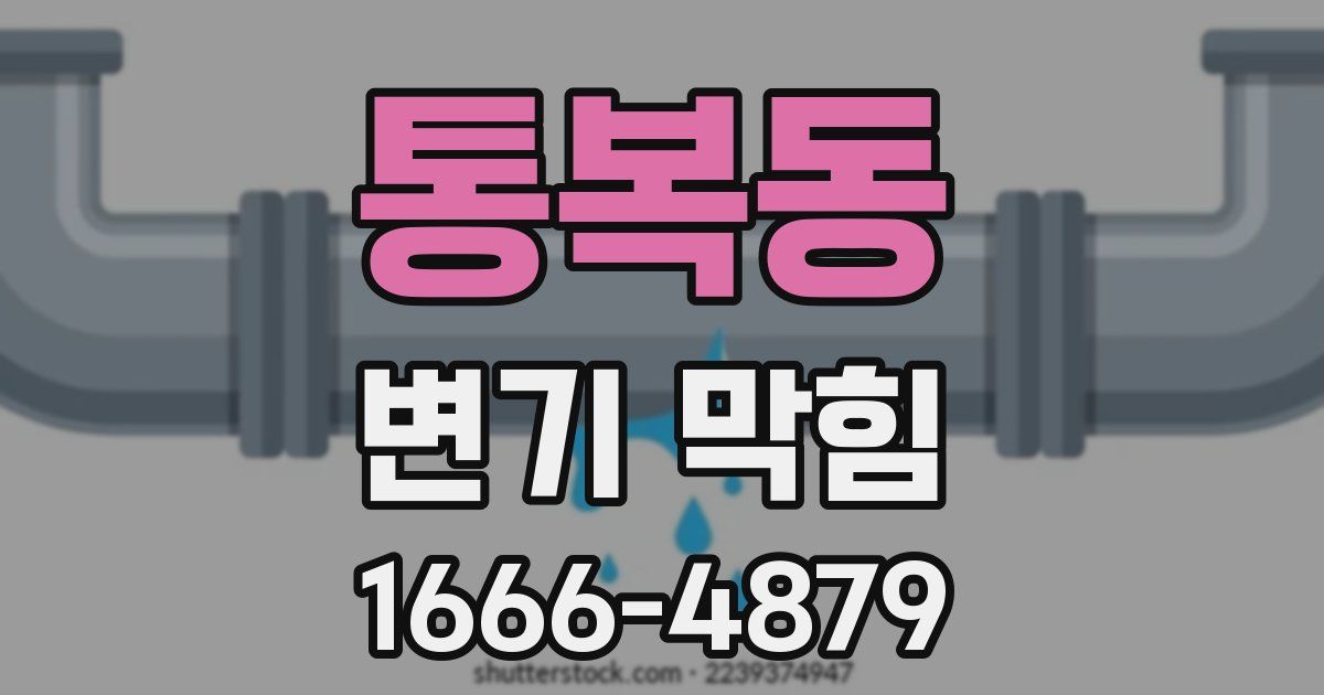 통복동 변기 막힘