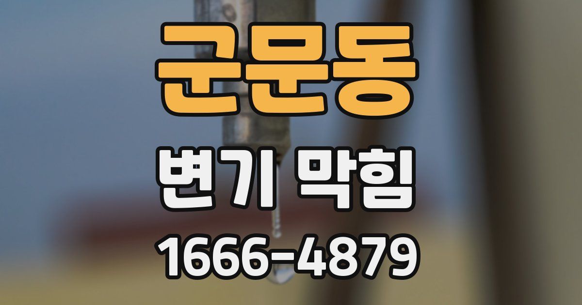 군문동 변기 막힘