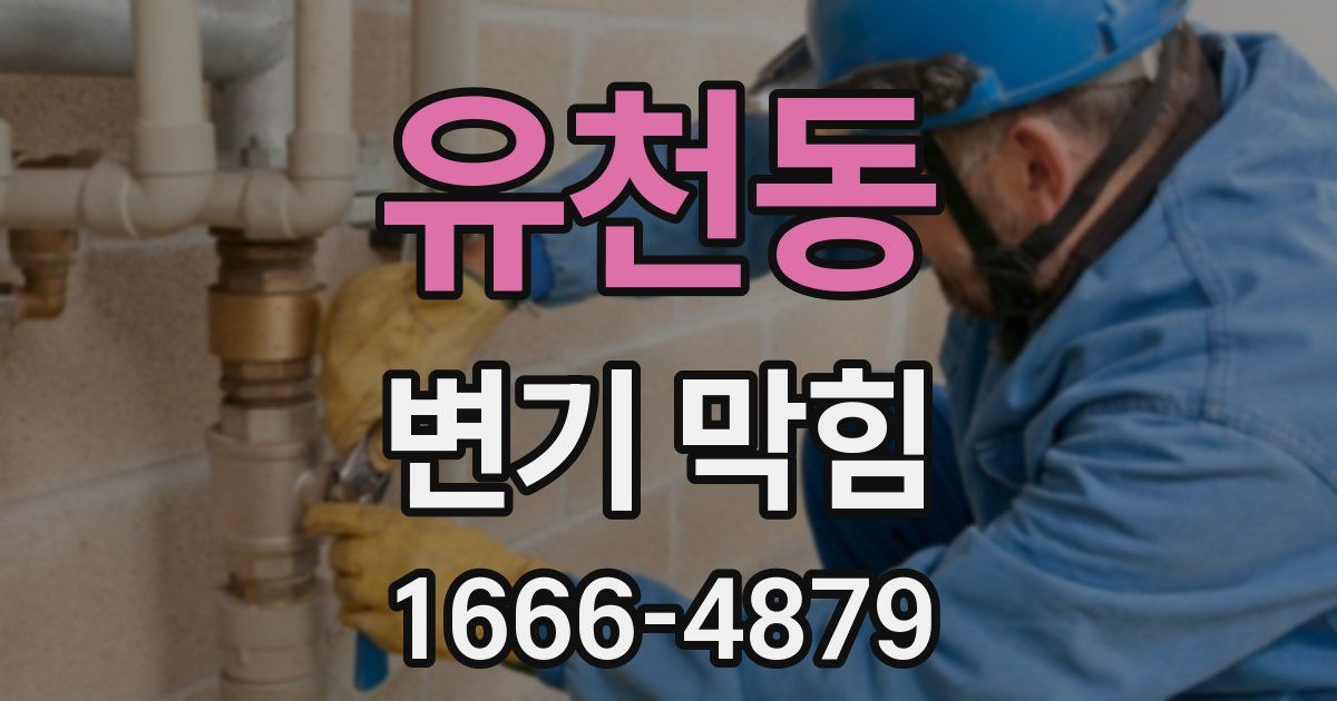 유천동 변기 막힘