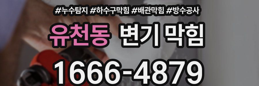 유천동 변기 막힘