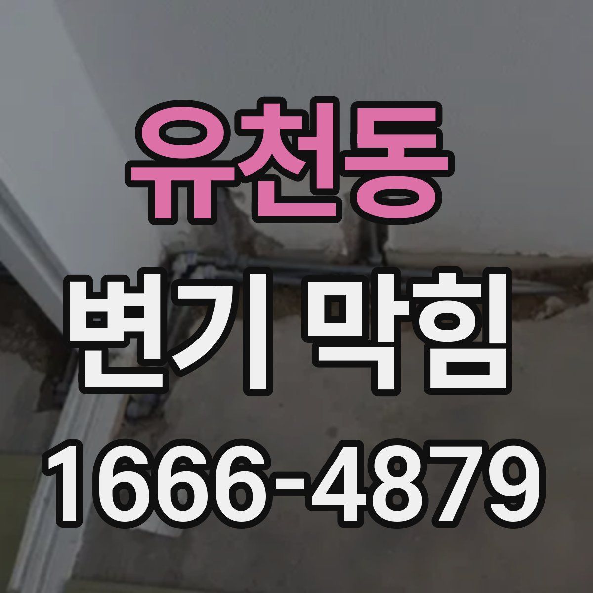 유천동 변기 막힘