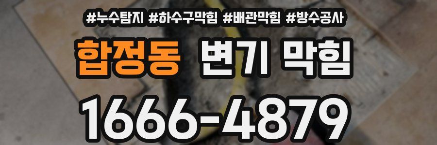 합정동 변기 막힘