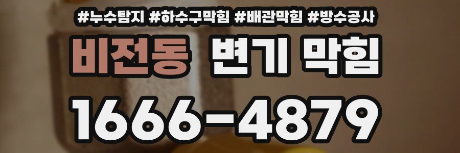 비전동 변기 막힘