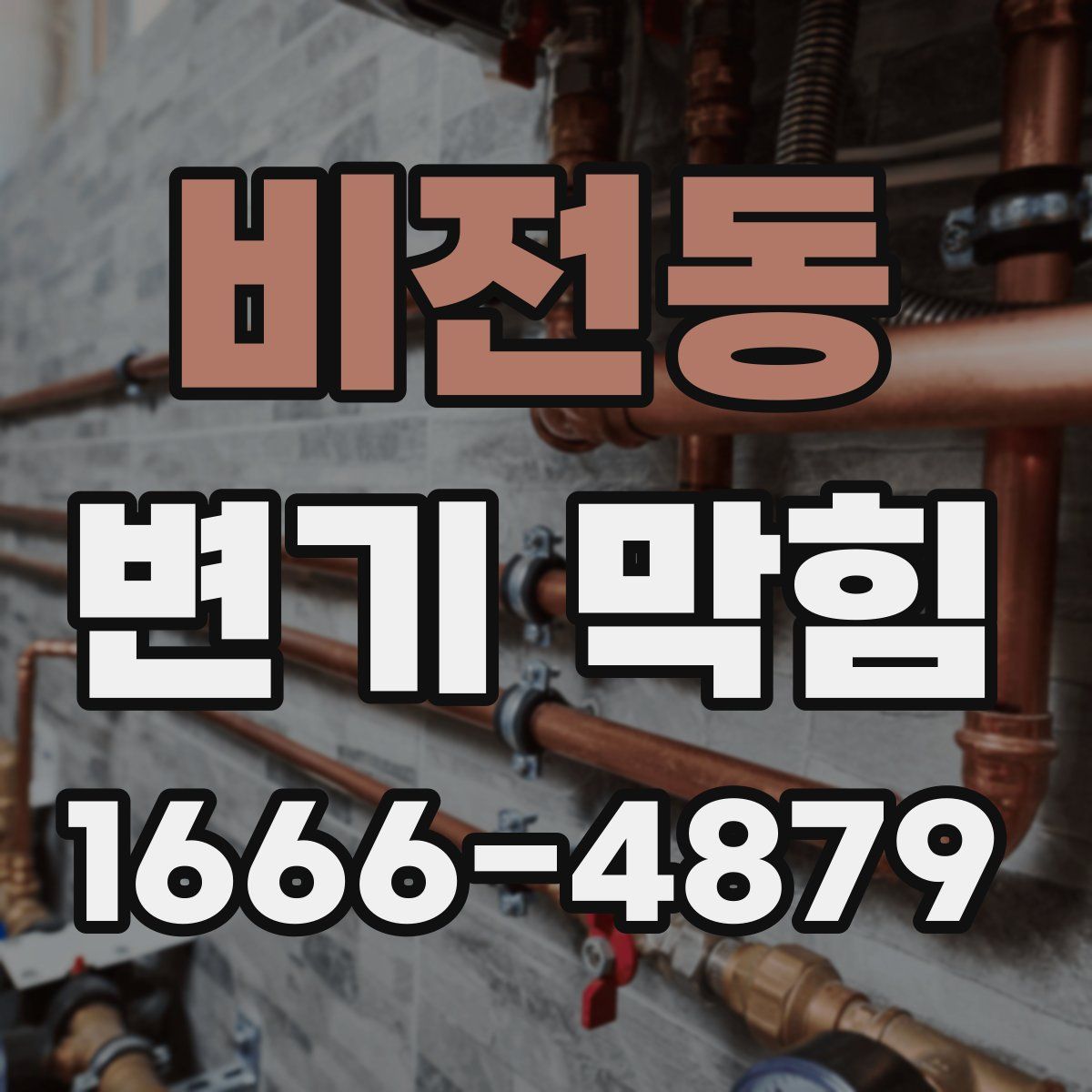 비전동 변기 막힘