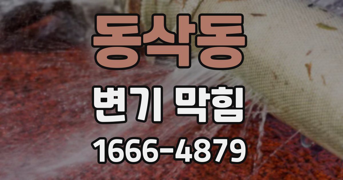 동삭동 변기 막힘