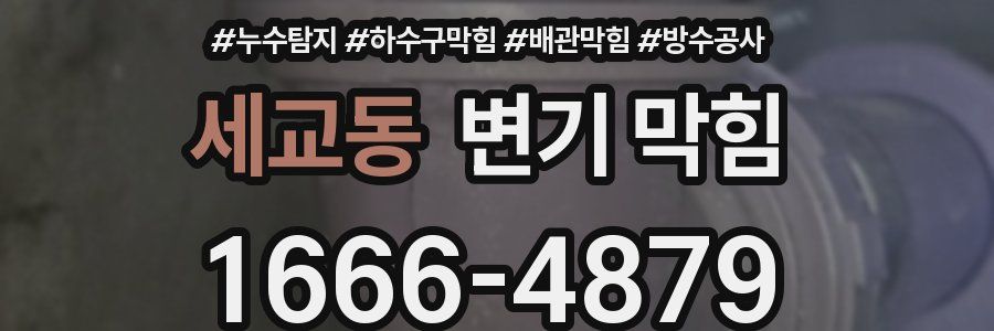 세교동 변기 막힘