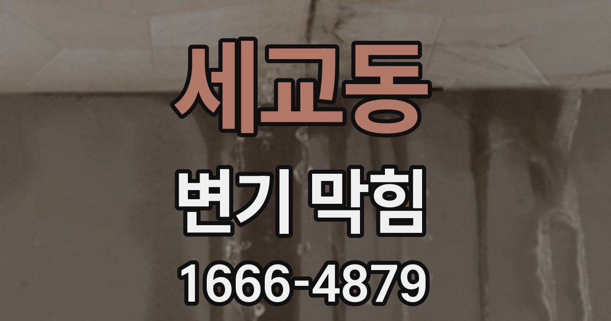 세교동 변기 막힘