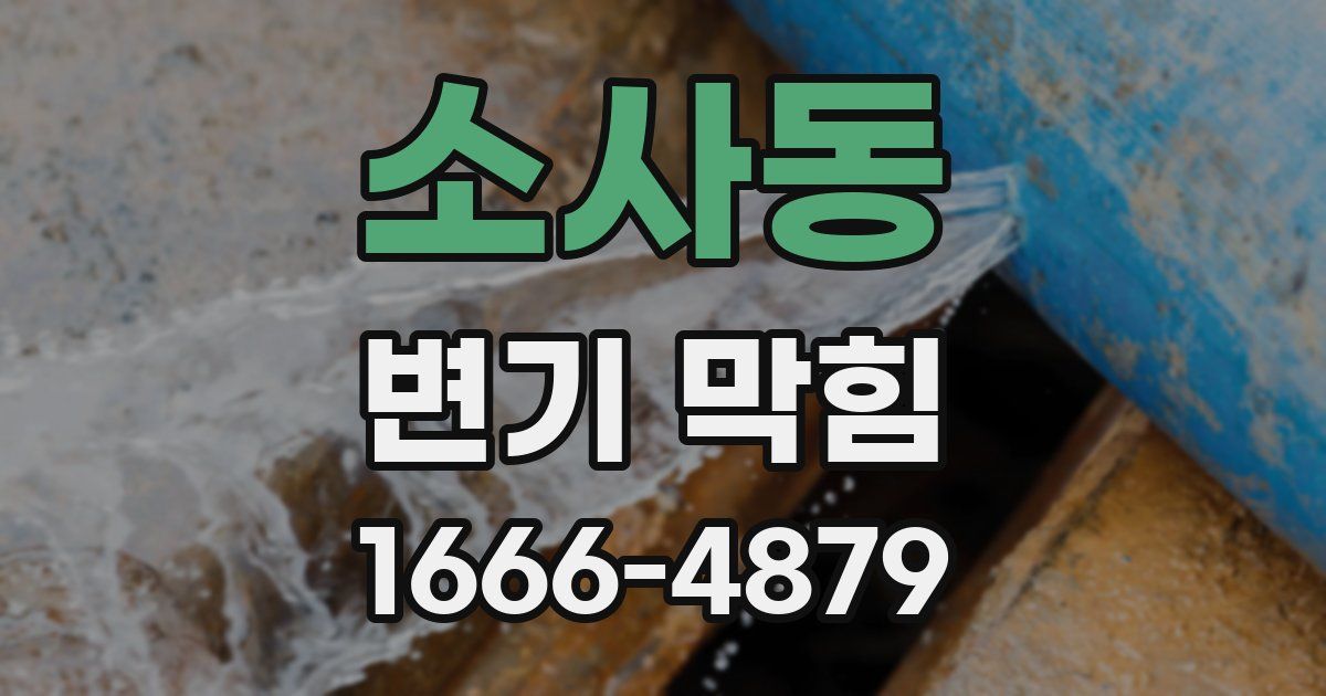 소사동 변기 막힘