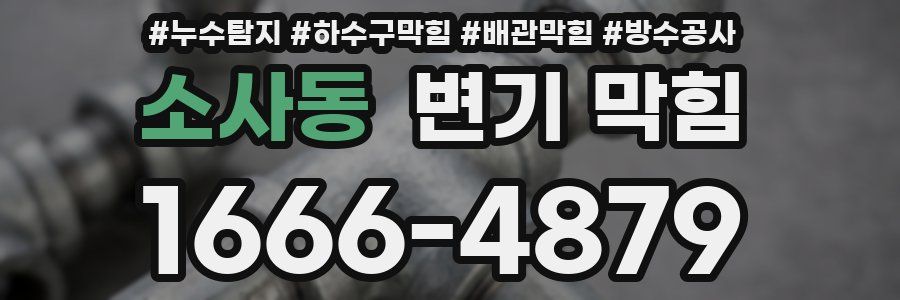 소사동 변기 막힘