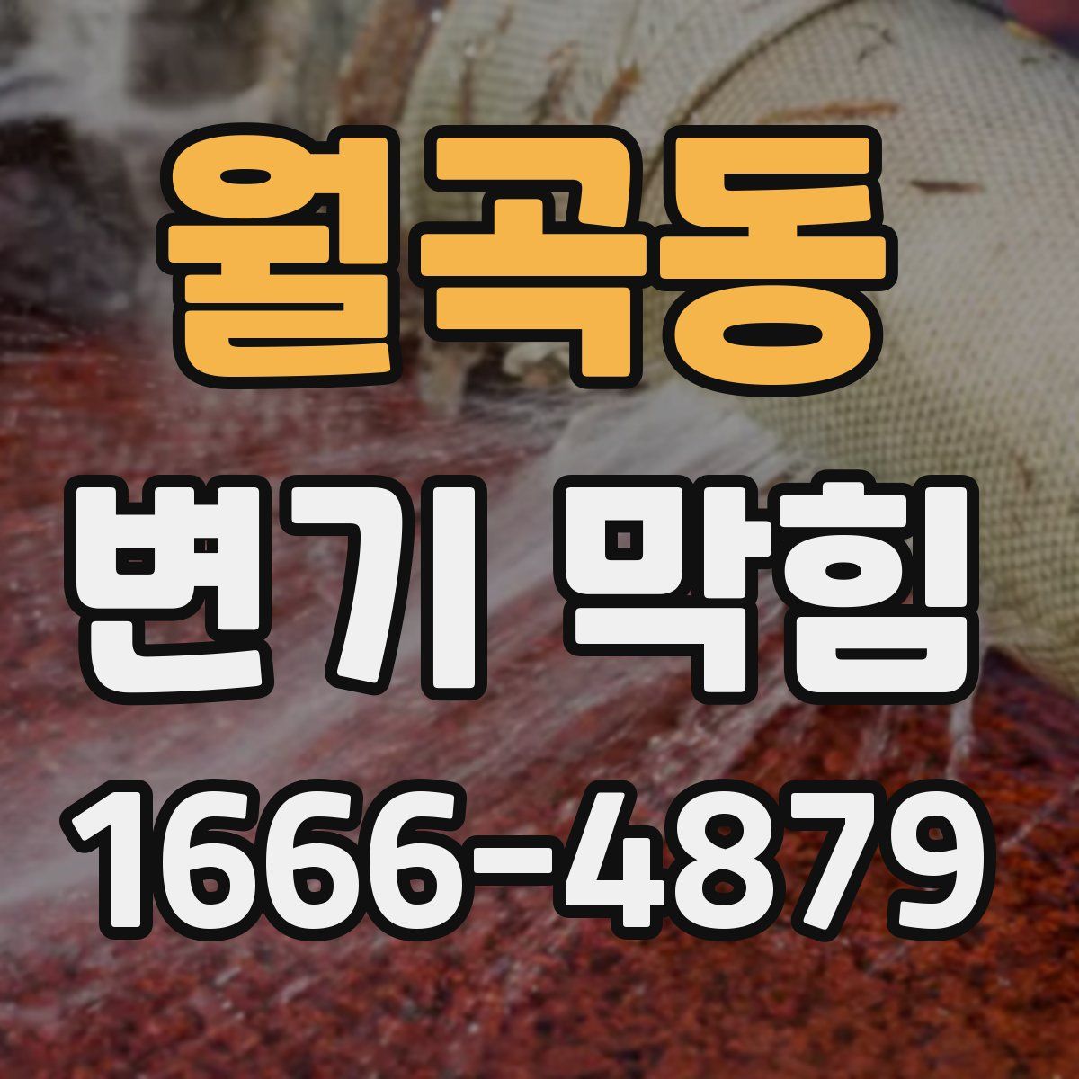 월곡동 변기 막힘