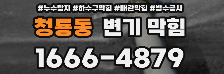 청룡동 변기 막힘