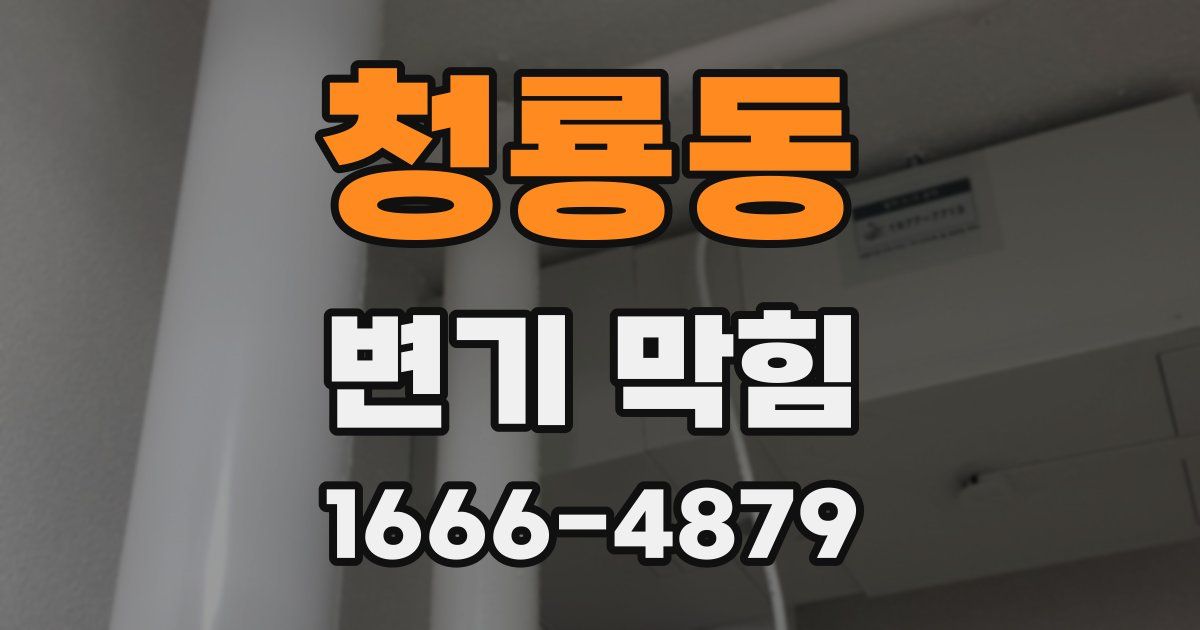 청룡동 변기 막힘
