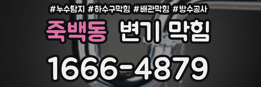 죽백동 변기 막힘