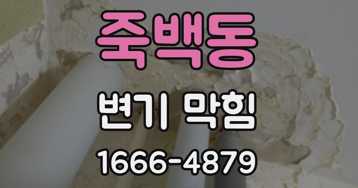 죽백동 변기 막힘