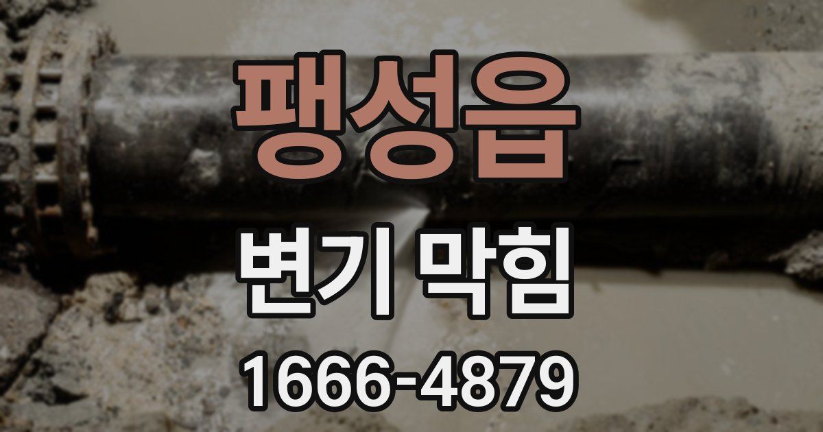 팽성읍 변기 막힘