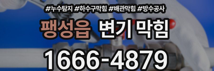 팽성읍 변기 막힘