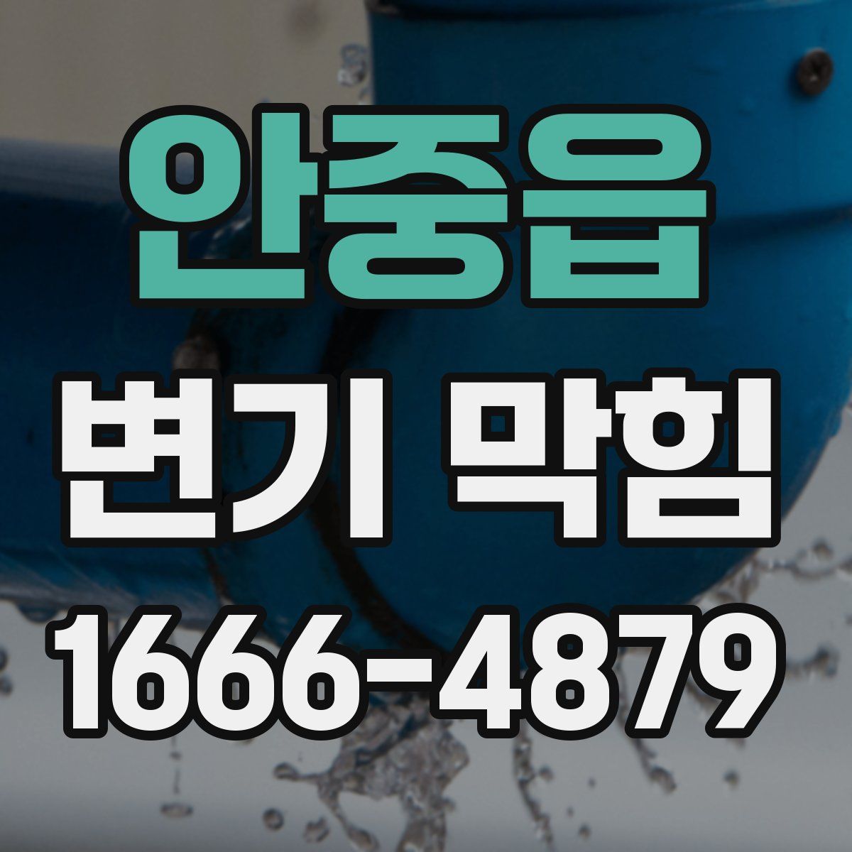 안중읍 변기 막힘