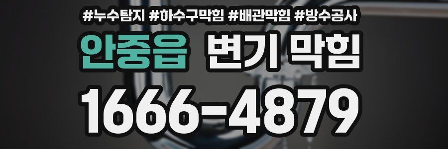 안중읍 변기 막힘