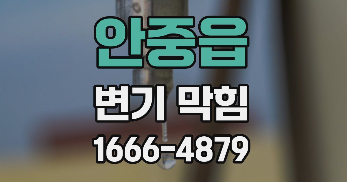 안중읍 변기 막힘