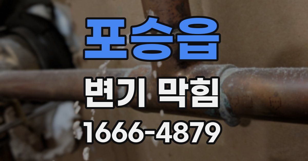 포승읍 변기 막힘