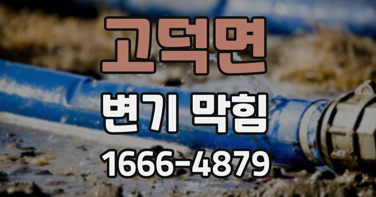 고덕면 변기 막힘