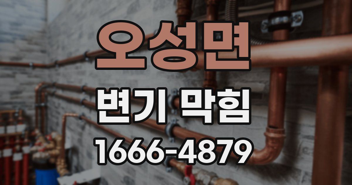 오성면 변기 막힘