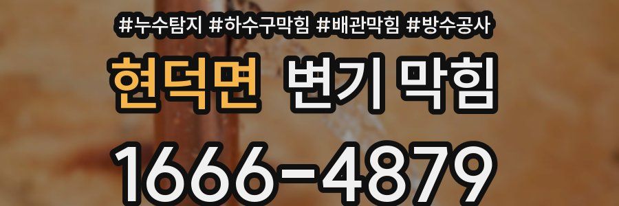 현덕면 변기 막힘