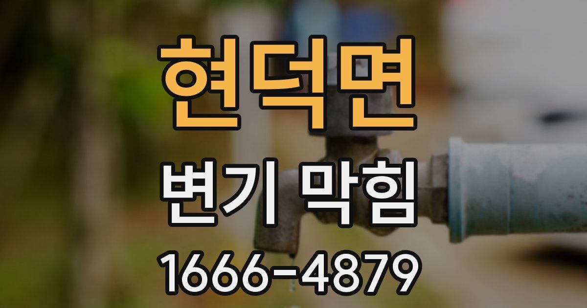 현덕면 변기 막힘