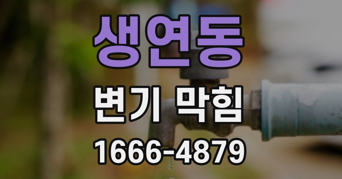 생연동 변기 막힘