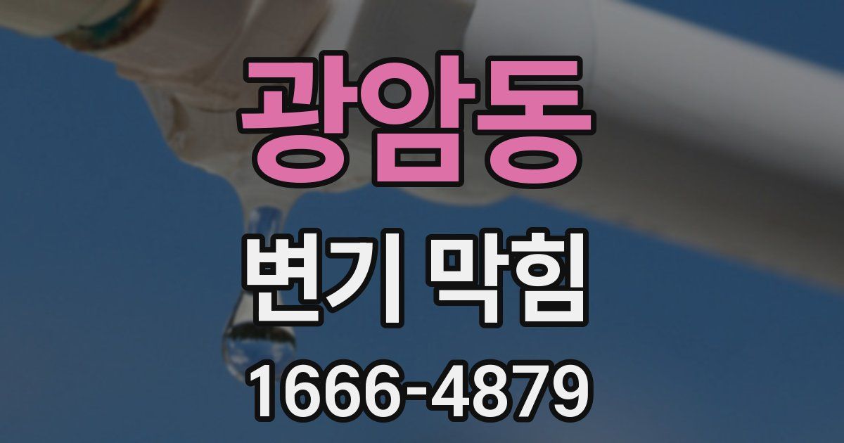광암동 변기 막힘