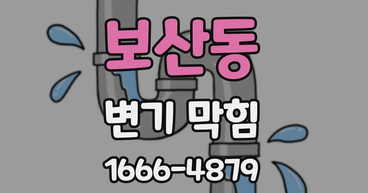 보산동 변기 막힘