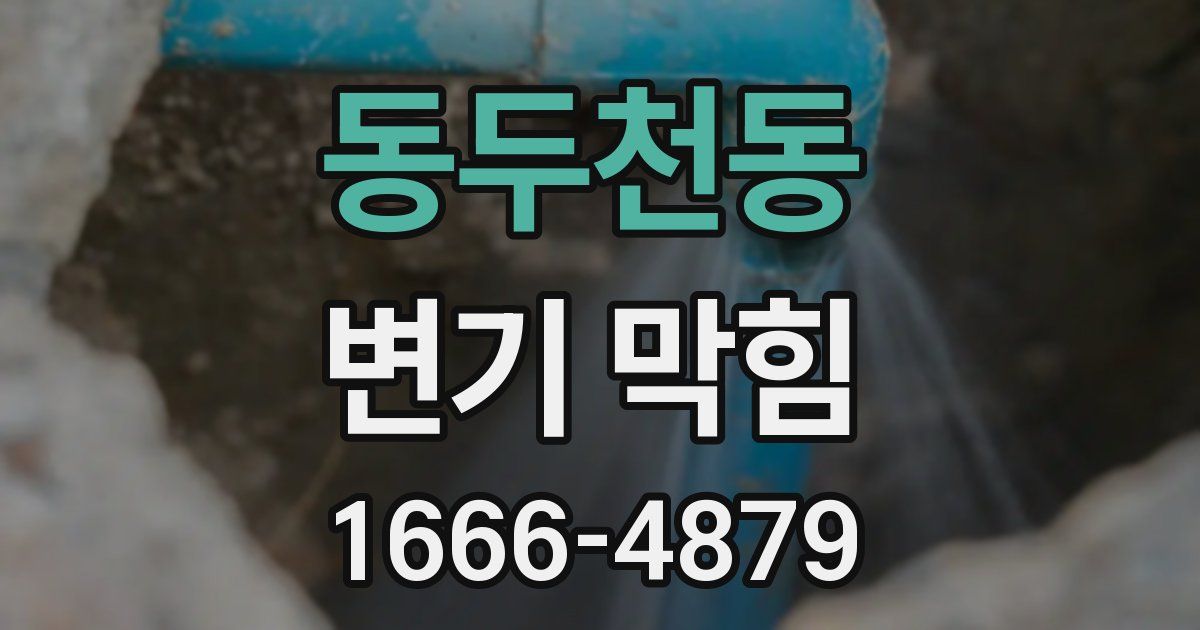 동두천동 변기 막힘
