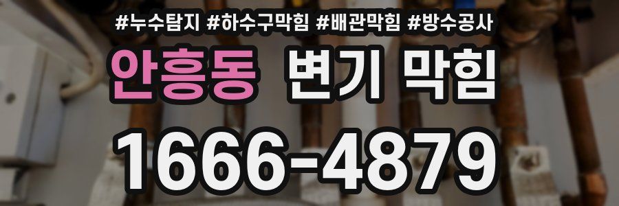 안흥동 변기 막힘