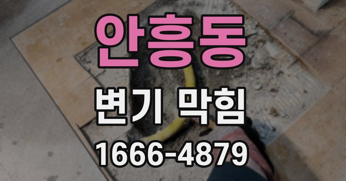 안흥동 변기 막힘