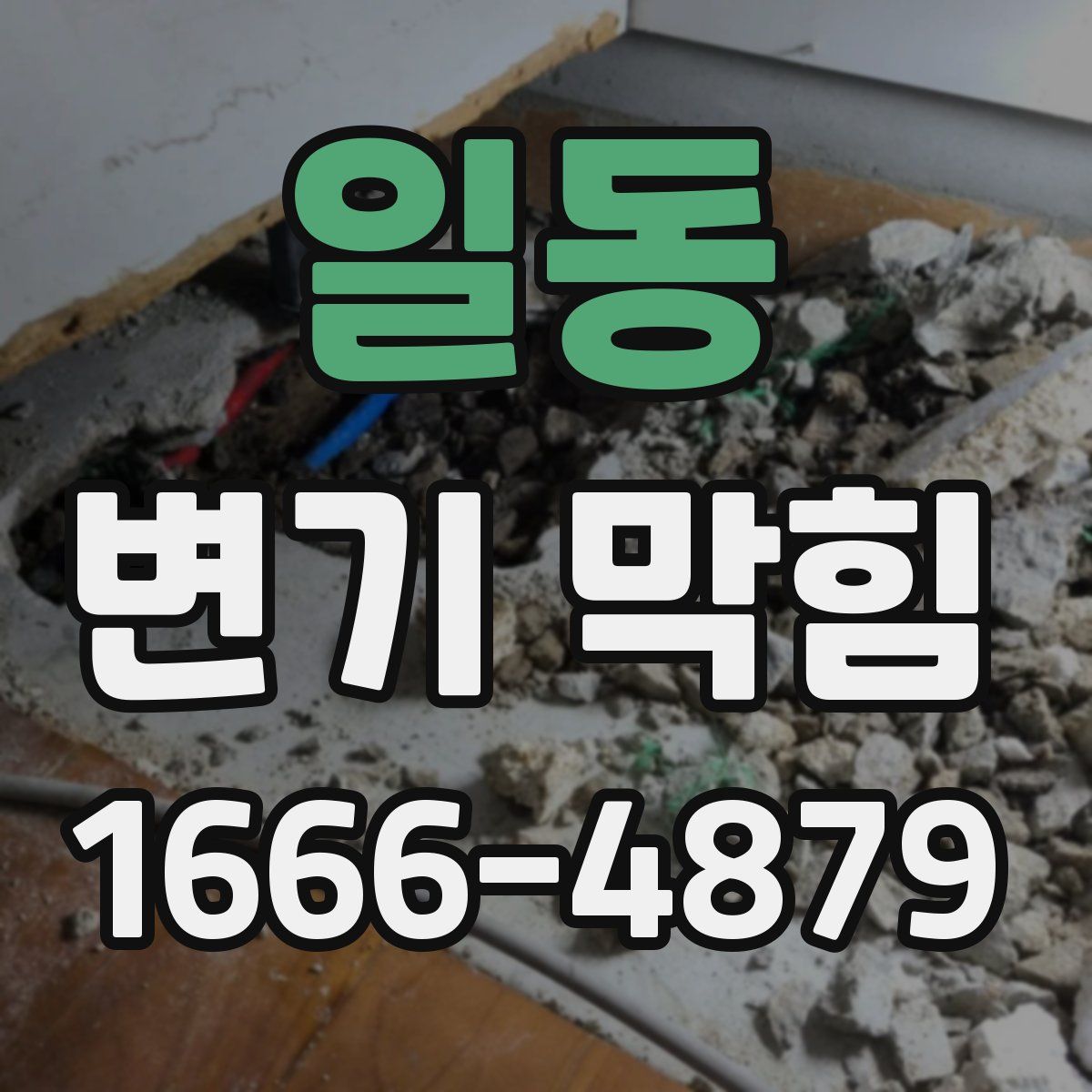 일동 변기 막힘