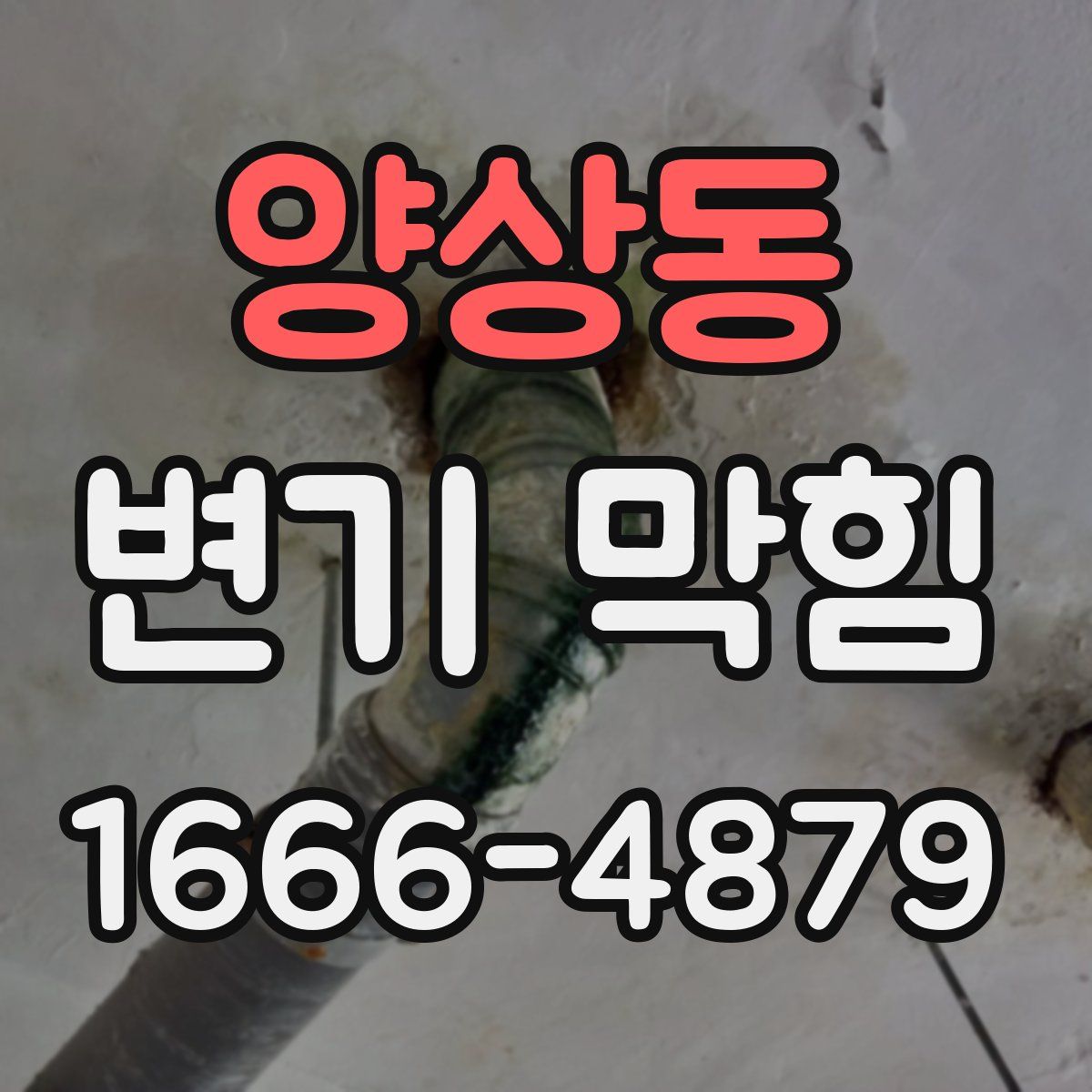 양상동 변기 막힘