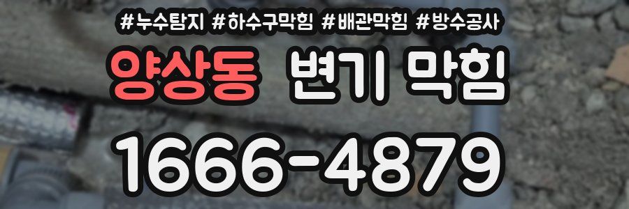 양상동 변기 막힘