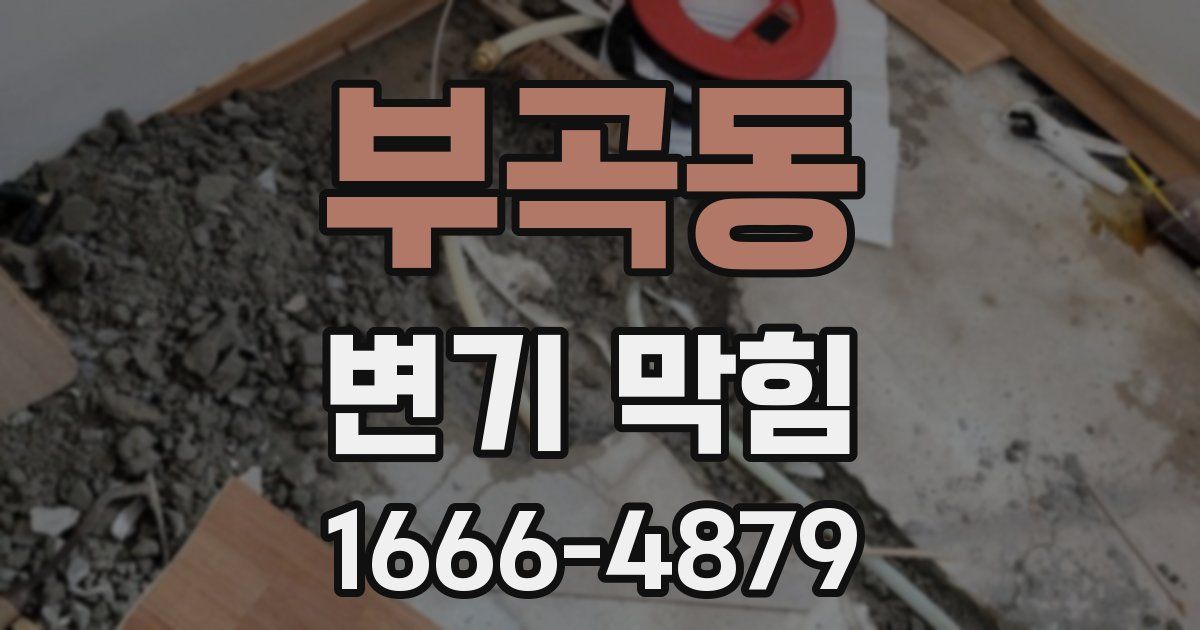 부곡동 변기 막힘