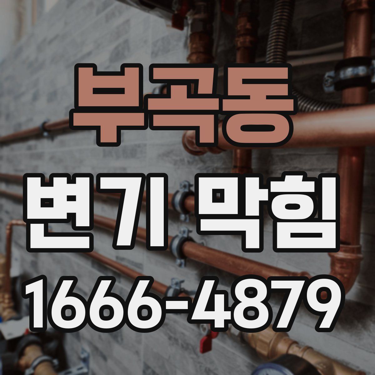 부곡동 변기 막힘